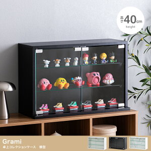 RNVP[X ^ 60cm×40cm [ RpNg tBMAI fBXvC Grami O~