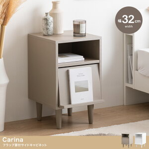 fBXvCLrlbg 32cm tbvt ؐ VR [ }KWbN RpNg Carina J[i O[W/zCg