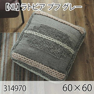 ���g�r�A �v�t �O���[ �N�b�V���� 60×60cm ��D�� �k�� ������� �C���e���A ������ �E�[�� ��l���킢��