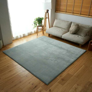 �z���f�[�v���X ������ 25mm 190x190cm �_�X�e�B�O���[�� �������E���^�� �͂������H ��z�����A���f�q�h �Չ� �h�� ���ׂ�~�� �z�b�g�J�[�y�b�g�J�o�[ �V���v�� ���n ���r���O