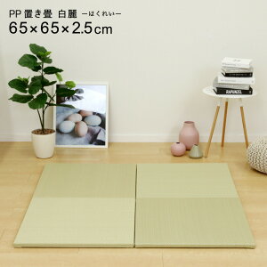 PPu  65×65×2.5cm Ȃdl Pi1 ɂHt jbg y O[ t[O VXe u am AWA_ I[V[Y  Q Q a