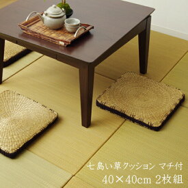 送料無料 クッション 七島クッション 七島藺草 シート コート マチ付 約40×40cm 2枚組 い草クッション いぐさクッション 坐布団 ざぶとん おしゃれ 居酒屋 和風 飲食店 リビング