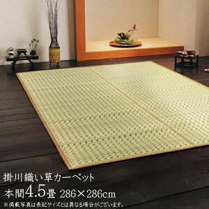 Y  ~ 4.5 J[ybg J[ybg  O O Vv |D O {4.5i286×286cmj ~J[ybg C  ~    ~ 