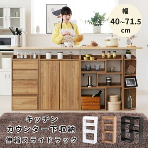 JE^[[ XChbN 40 ` 72cm s22cm 80cm uE/_[NuE/zCg 