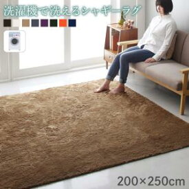 送料無料 ラグ カーペット マット 洗える シャギーラグ shaggila シャギラ 200×250cm すべり止め 滑り止め ホットカーペット 床暖房 対応 ウォッシャブル オールシーズン ラグマット 高級感 北欧 おしゃれ