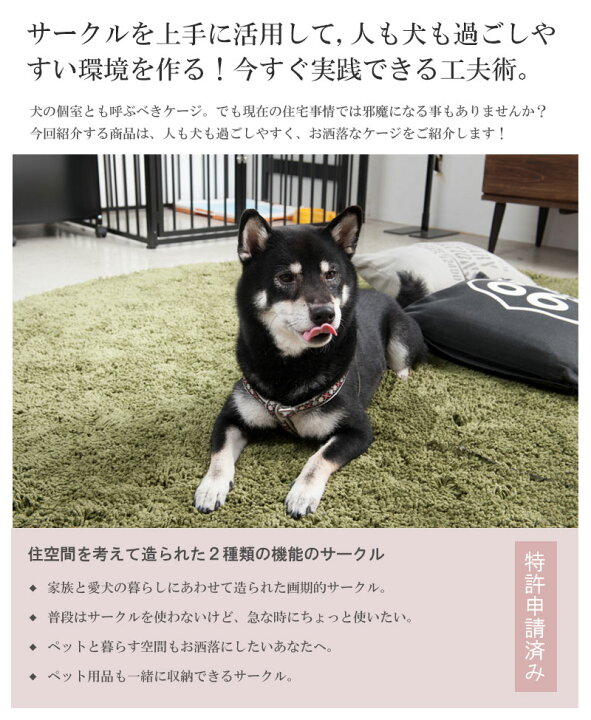 日本画　ソリを引く犬