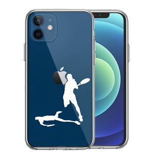 Pi iPhone12 ʃ\tg wʃn[h nCubh NA P[X ejX X}bV zCg 