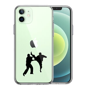 Pi iPhone12mini ʃ\tg wʃn[h nCubh NA P[X 2 