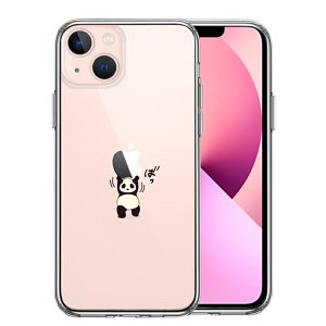 Pi iPhone13 ʃ\tg wʃn[h nCubh NA P[X p_ dʋ w͊ 