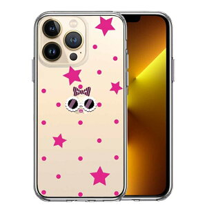 Pi iPhone13 Pro ʃ\tg wʃn[h nCubh NA P[X t@L[ 2 