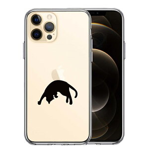 Pi iPhone12 Pro ʃ\tg wʃn[h nCubh NA P[X ˂ L S悹Ă݂ 