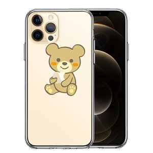 Pi iPhone12 Pro ʃ\tg wʃn[h nCubh NA P[X  F ʂ   