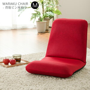 ֎q NCjO { MTCY NCjO`FA  NCjO֎q bNX`FA bNX p w fXN[N ɂ ay`FA ]|h~@\t 