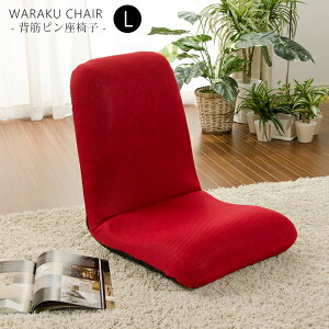 ֎q NCjO { LTCY NCjO`FA  NCjO֎q bNX`FA bNX p w fXN[N ɂ ay`FA ]|h~@\t 