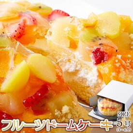 ふわっふわのスポンジの上にフルーツがどっさり♪フルーツドームケーキ≪冷凍≫