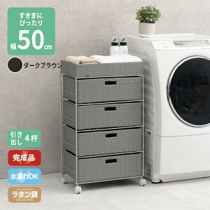܎[ 50cm bN  h[ c [ h[ `FXg ^ 4i 50.5cm ȒPg LX^[t h o 4t o[ Tj^[[ ʏ gC 