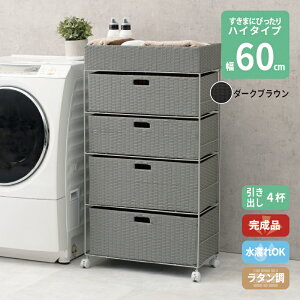 ܎[ 60cm bN  h[ c [ h[ `FXg ^ 4i 60.5cm nC^Cv ȒPg LX^[t h o 4t o[ Tj^[[ ʏ 