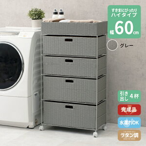 ܎[ 60cm bN  h[ c [ h[ `FXg ^ 4i 60.5cm nC^Cv ȒPg LX^[t h o 4t o[ Tj^[[ ʏ 