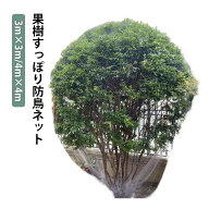 4m 防鳥ネット 園芸 すっぽり 3m ジャボチカバ 果樹 3m 防鳥ネット 防鳥網 園芸用ネット 果樹用 鳥除け網…