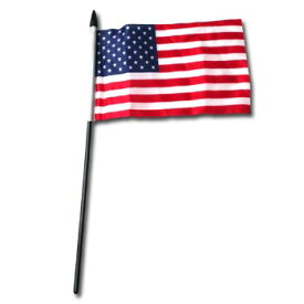 楽天市場 アメリカ 国旗 コレクション ホビー の通販