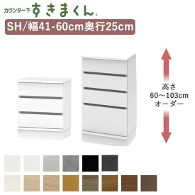 【ポイント10倍 ～3/26 AM9：59まで】カウンター下すきまくん　CSD-SH　奥行25cm幅41～60cm　高さ60～103cmオーダーフジイカウンター下収納　引出Sシリーズ