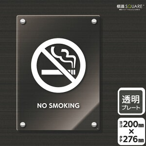 WSQUARE@u։(p)v@CAK1163@yANv[gz^e^@200mm×c276mm