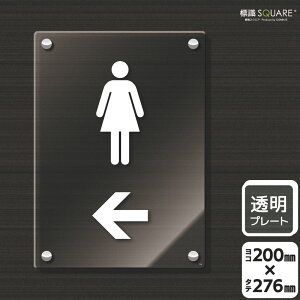 WSQUARE@u􂢃}[Nijv@CAK1176@yANv[gz^e^@200mm×c276mm