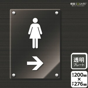 WSQUARE@u􂢃}[NiEjv@CAK1177@yANv[gz^e^@200mm×c276mm