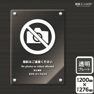 WSQUARE@uBe͂v@CAK1180@yANv[gz^e^@200mm×c276mm