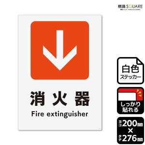 WSQUARE@uΊ큫()v@CFK1247@yzCgtBXebJ[@Sz^e^@200mm×c276mm