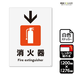 WSQUARE@uΊ}[N()v@CFK1250@yzCgtBXebJ[@Sz^e^@200mm×c276mm