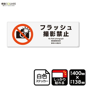 WSQUARE@utbVBe֎~v@CFK2014@yzCgtBXebJ[@SzR^@400mm×c138mm