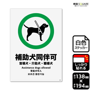 WSQUARE@u⏕v@CFK3055@yzCgtBXebJ[@Sz^e^@138mm×c194mm