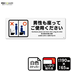 WSQUARE@ujĂgpv@CFK6047@yzCgtBXebJ[@SzR^@190mm×c65mm