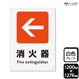 WSQUARE@u()Ίv@CTK1245@yvX`bNv[gz^e^@200mm×c276mm