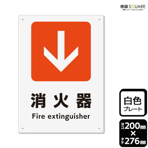 WSQUARE@uΊ큫()v@CTK1247@yvX`bNv[gz^e^@200mm×c276mm