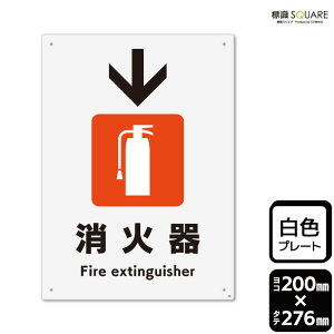 WSQUARE@uΊ}[N()v@CTK1250@yvX`bNv[gz^e^@200mm×c276mm