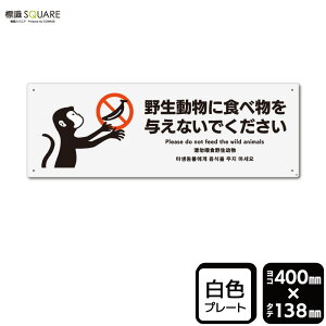 WSQUARE@u쐶ɐHו^ȂŁv@CTK2107@yvX`bNv[gzR^@400mm×c138mm