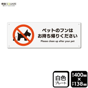 WSQUARE@uybg̃t͂A肭v@CTK2118@yvX`bNv[gzR^@400mm×c138mm