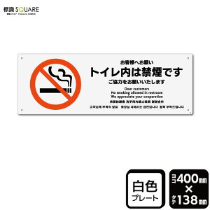 WSQUARE@uqlւ肢 gC͋։łv@CTK2162@yvX`bNv[gzR^@400mm×c138mm