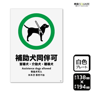 WSQUARE@u⏕v@CTK3055@yvX`bNv[gz^e^@138mm×c194mm