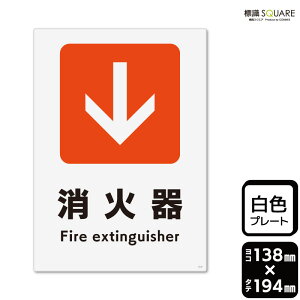 WSQUARE@uΊ큫()v@CTK3147@yvX`bNv[gz^e^@138mm×c194mm