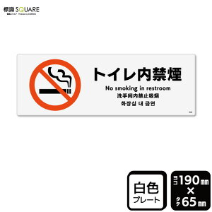 WSQUARE@ugC։v@CTK6009@yvX`bNv[gzR^@190mm×c65mm