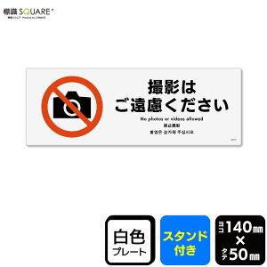 WSQUARE@uBe͂v@CWK8073@yvX`bNv[g X^htz@R^@140mm×c50mm@2g