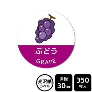 ̑I ׂ̃V[ uԂǂv@DMA2005@y򎆃xza30mm@350x