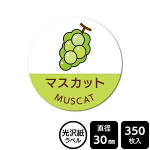 ̑I ׂ̃V[ u}XJbgv@DMA2014@y򎆃xza30mm@350x