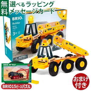 _܂t^؂̂ H ubN BRIO r_[ Volvo {{ ^ _v gݗ v[g Mtg FSCF  q w 