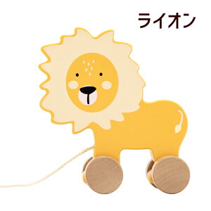 Tryco gCRbgCR vgCbV wm vg[C  CI Gt@gb1Δ 18b xM[ mߋ a Mtg oYj CeA