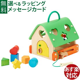 木のおもちゃ 知育玩具 エドインター あそびのおうち 型はめ 指先の知育 おうち時間 子供