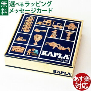 _KAPLÂ܂ق q^ςݖ ubN mߋ KAiKAPLAEJv100 a 2  q